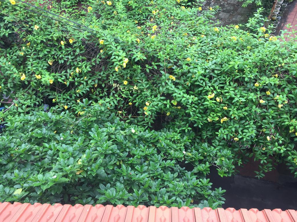 An Home Hanoi Dış mekan fotoğraf